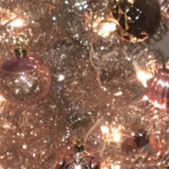 Meet your Posher, Emma - Picture 1 of 1